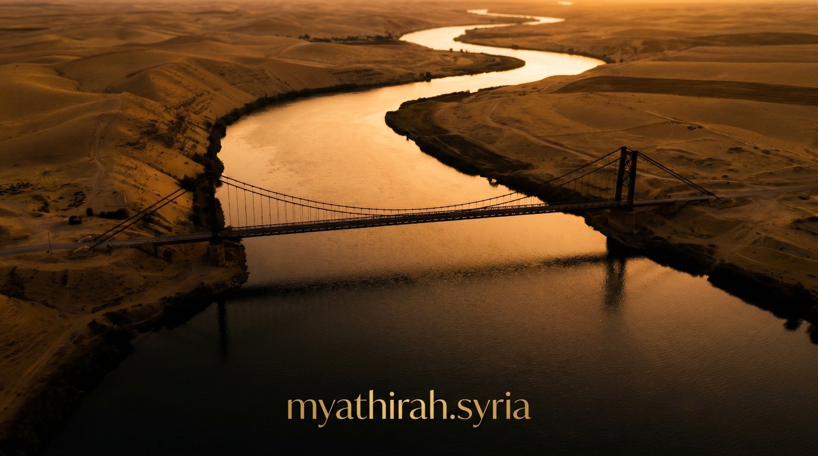 Palmyra